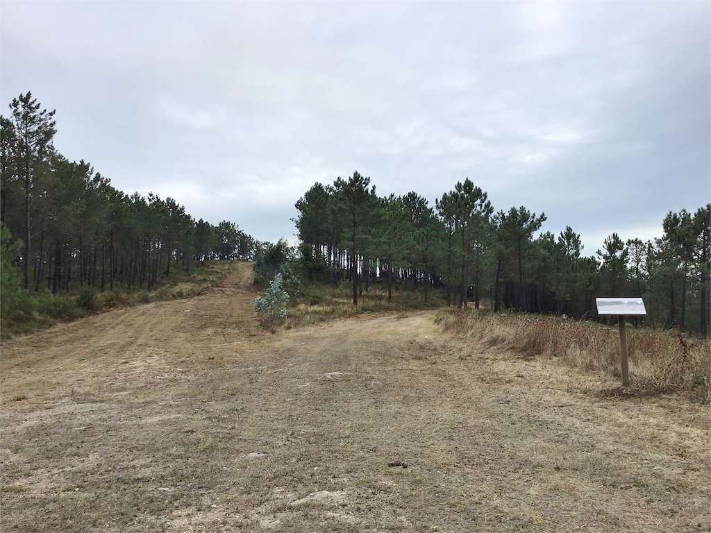 Minas Galaico Romanas de As Bornas en O Rosal