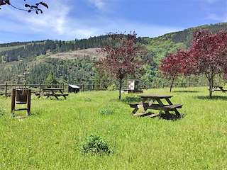 Fechas, información, programa, cartel, imágenes, mapa y ubicación de Mirador Aval do Navia  en  Negueira de Muñiz