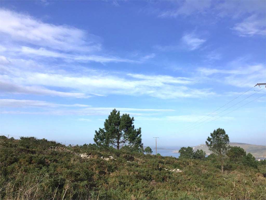 Mirador da Costa en Malpica de Bergantiños