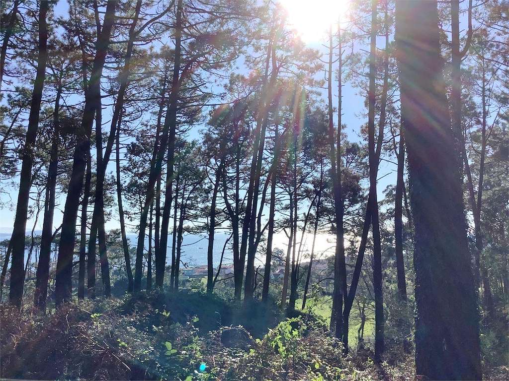Mirador de A Garita en Ribeira