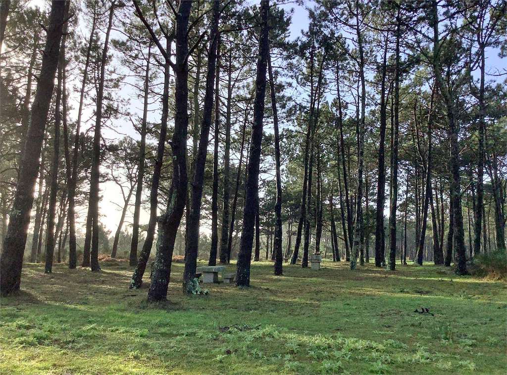 Mirador de Couso en Ribeira