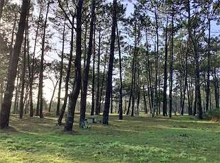 Fechas, información, programa, cartel, imágenes, mapa y ubicación de Mirador de Couso  en  Ribeira