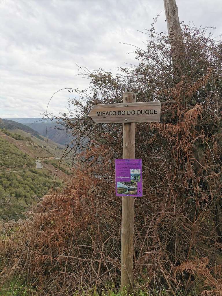 Mirador do Duque en Monforte de Lemos