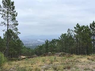 Mirador O Cabezo Gordo