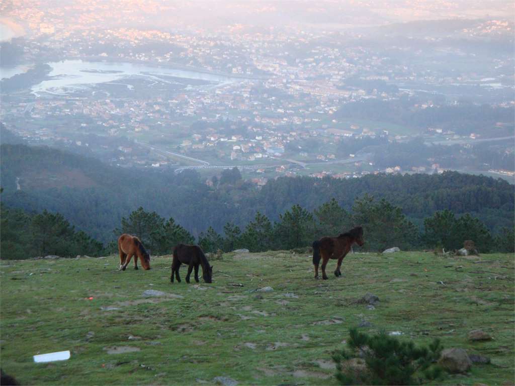 Mirador O Cortelliño en Baiona