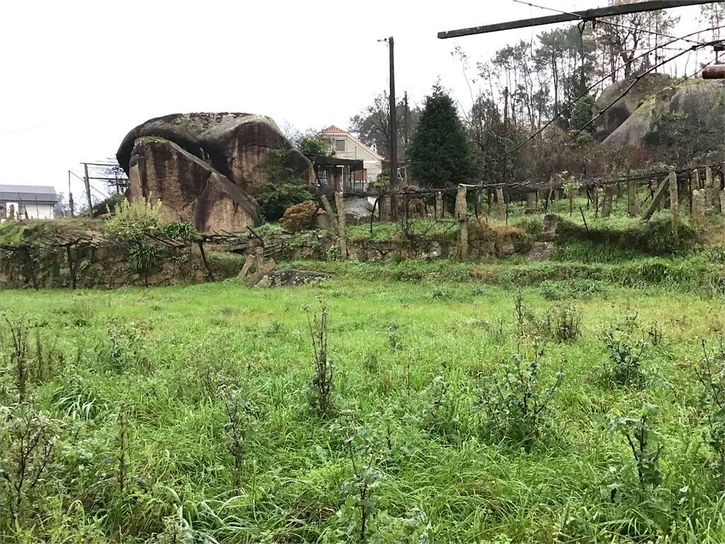 Moas de Carracido en Mos