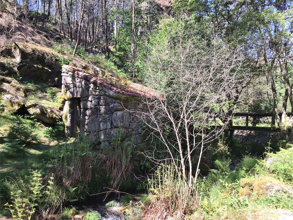 Molinos de Paredes en Tui