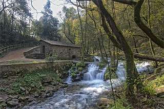 Molinos de Serén