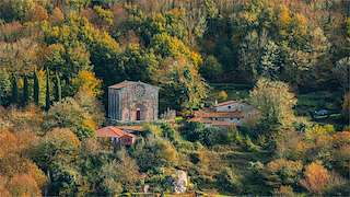 Fechas, información, programa, cartel, imágenes, mapa y ubicación de Monasterio de Santo Estevo de Ribas de Miño (2022)  en  O Saviñao