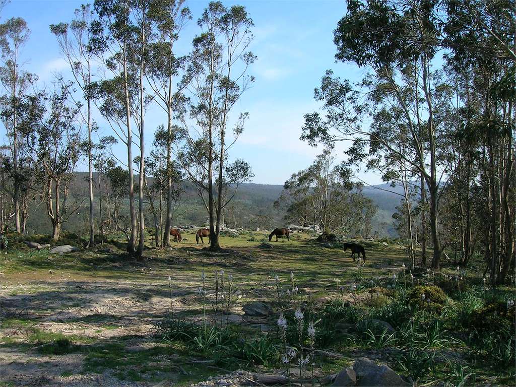 Monte da Groba en Baiona
