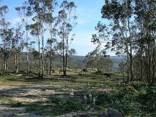 Fechas, información, programa, cartel, imágenes, mapa y ubicación de Monte da Groba  en  Baiona