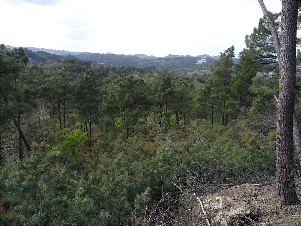 Monte de Ridimoas en Beade
