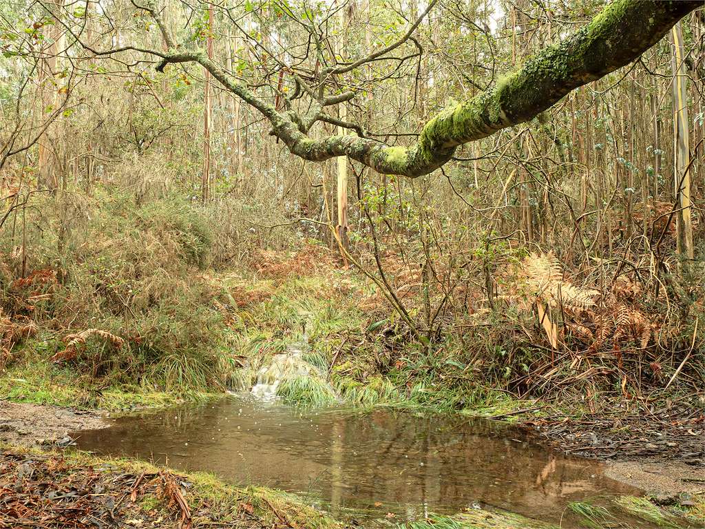 Monte do Gato en Coirós