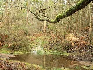 Fechas, información, programa, cartel, imágenes, mapa y ubicación de Monte do Gato (2024)  en  Coirós