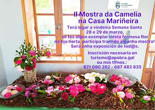 III Mostra da Camelia  en A Pobra do Caramiñal
