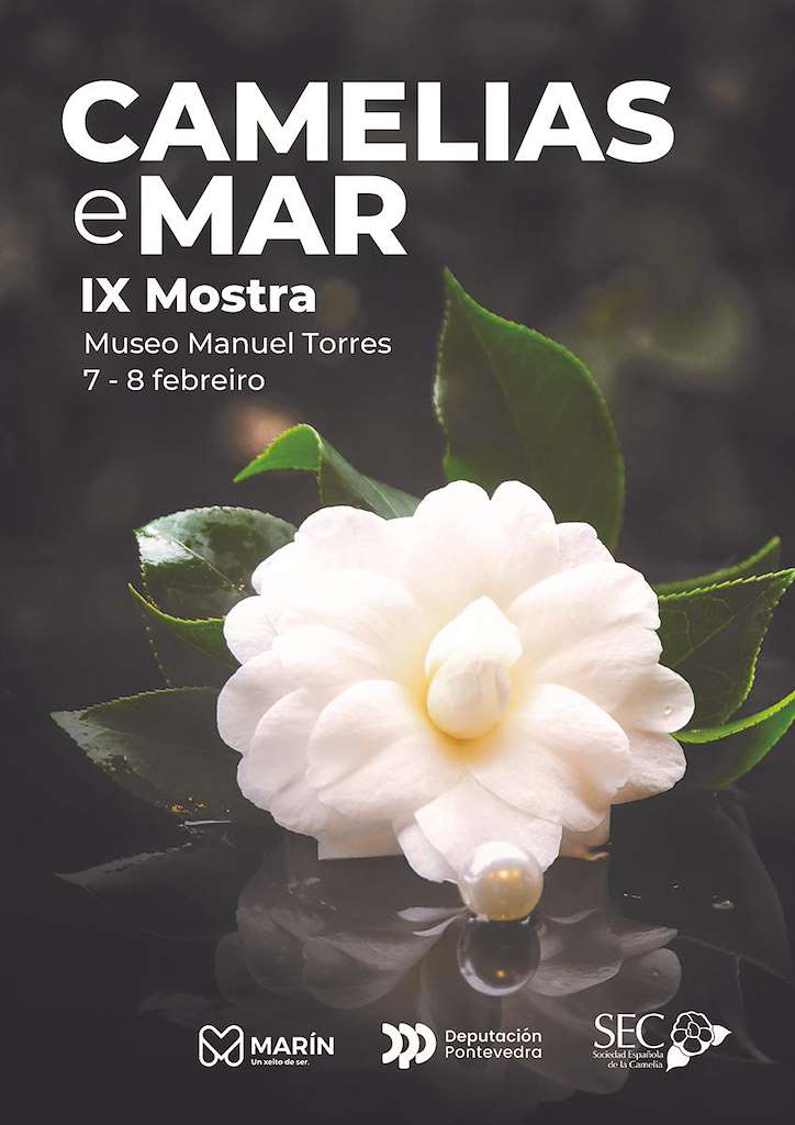 IX Mostra “Camelias e Mar” (2026) en Marín