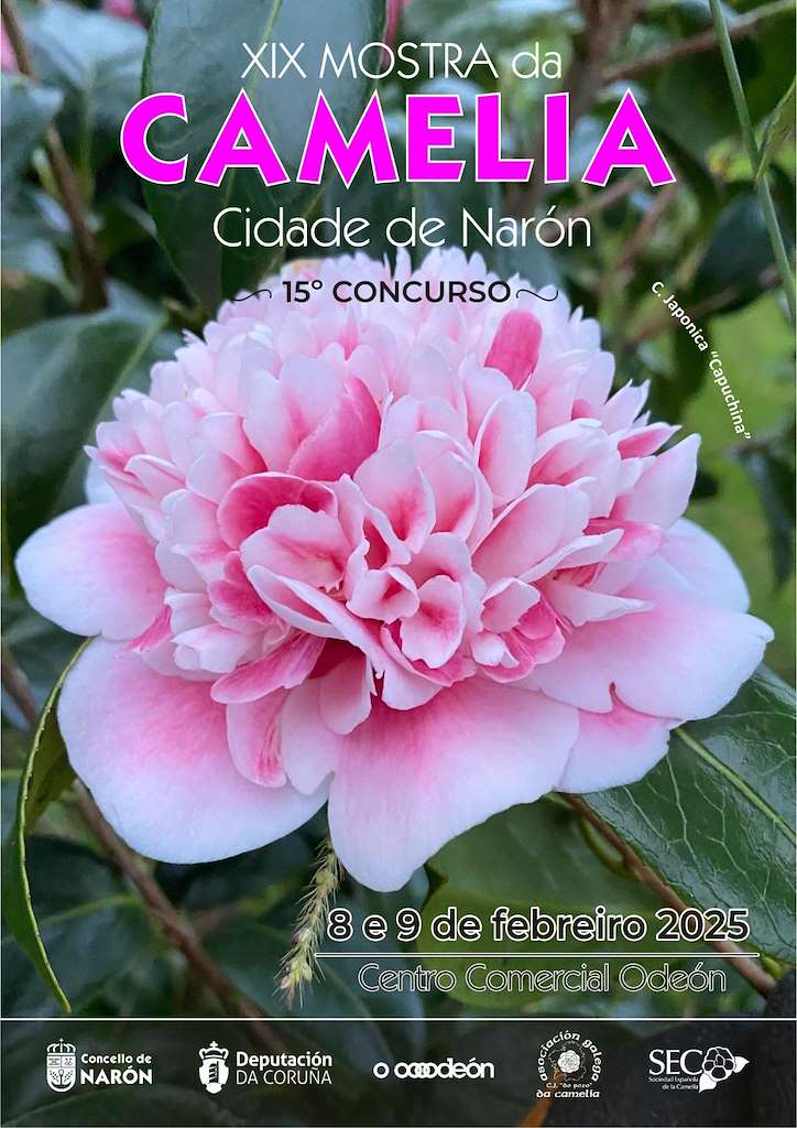 XIX Mostra da Camelia en Narón