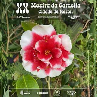 Fechas, información, programa, cartel, imágenes, mapa y ubicación de XX Mostra da Camelia (2026) en Narón