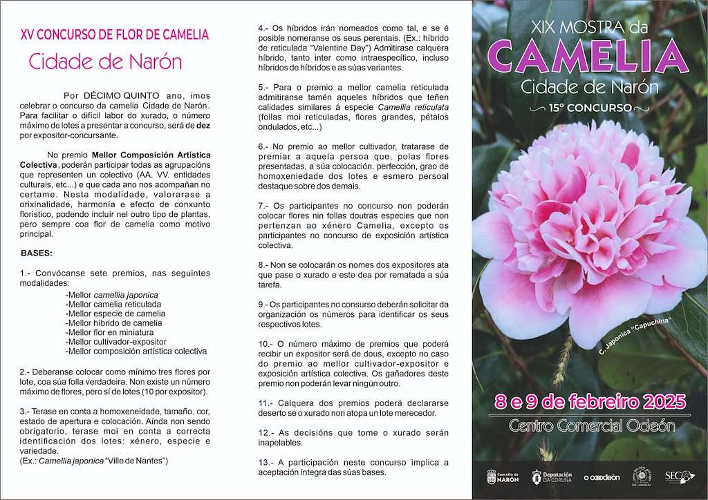 XIX Mostra da Camelia en Narón