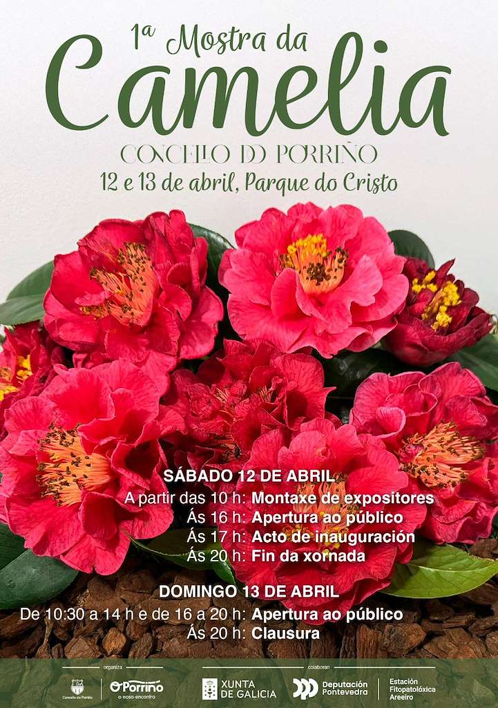 I Mostra da Camelia (2025) en O Porriño