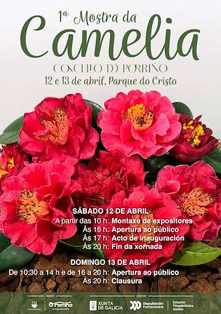 Fechas, información, programa, cartel, imágenes, mapa y ubicación de I Mostra da Camelia  en  O Porriño