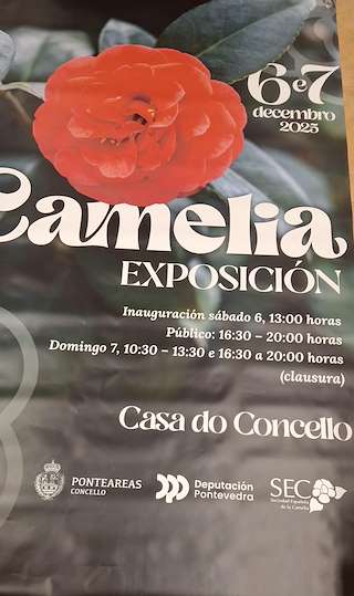 Fechas, información, programa, cartel, imágenes, mapa y ubicación de Mostra da Camelia  (2025)  en  Ponteareas