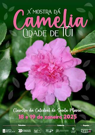 Fechas, información, programa, cartel, imágenes, mapa y ubicación de X Mostra da Camelia  en  Tui