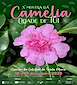 FiestasRelacionadas X Mostra da Camelia en Tui
