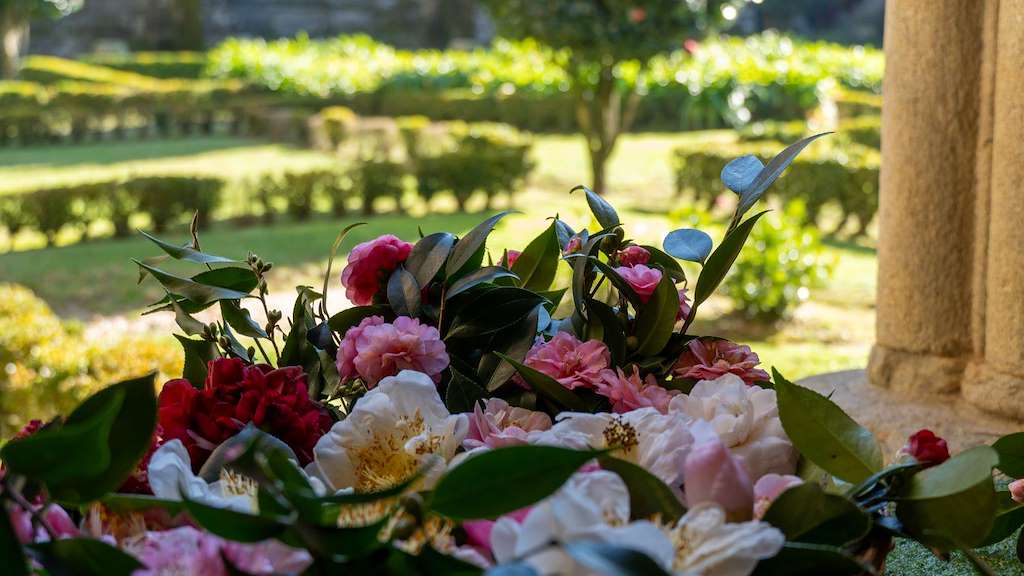 XI Mostra da Camelia en Tui