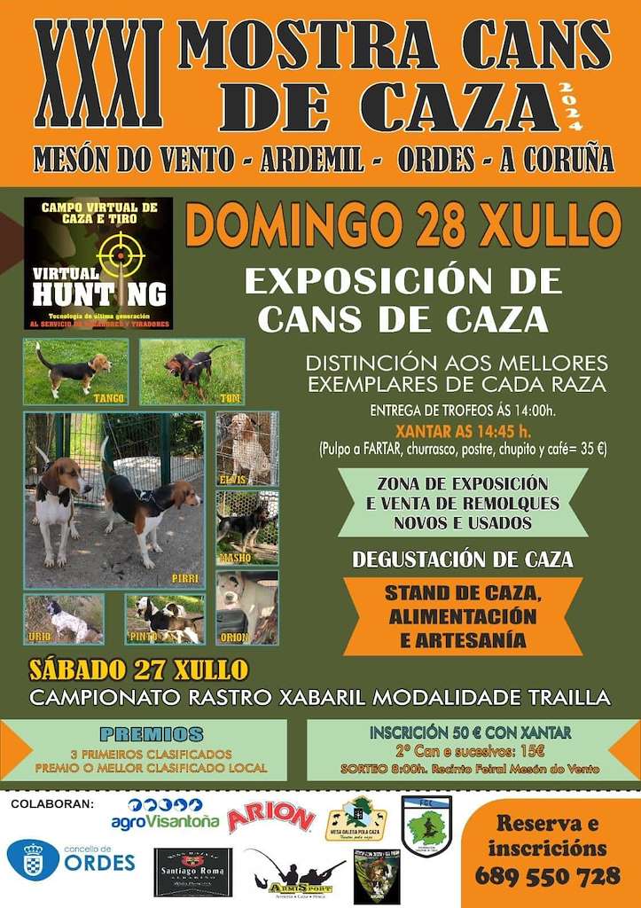 XXXI Mostra de Cans de Caza en Ordes