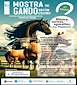 FiestasRelacionadas I Mostra de Gando Vacún Equino en Xunqueira de Espadanedo