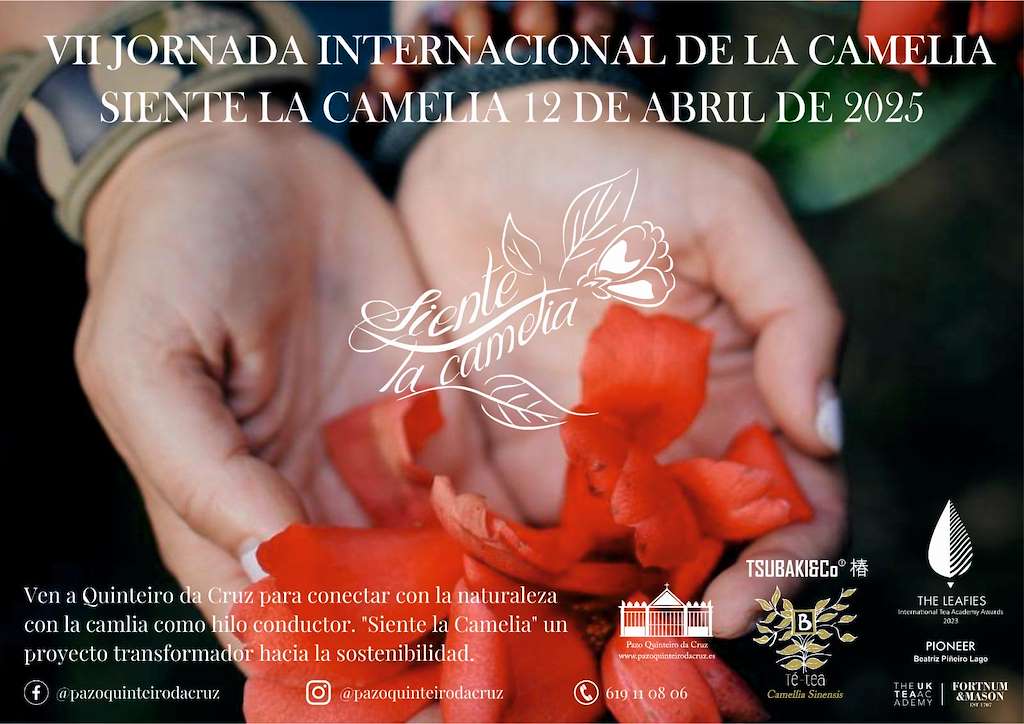 VII Mostra Internacional da Camelia (2025) en Ribadumia