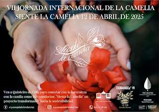 Fechas, información, programa, cartel, imágenes, mapa y ubicación de VII Mostra Internacional da Camelia  en  Ribadumia