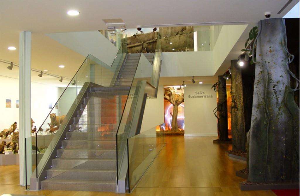 Museo de Historia Natural Luis Iglesias en Santiago de Compostela