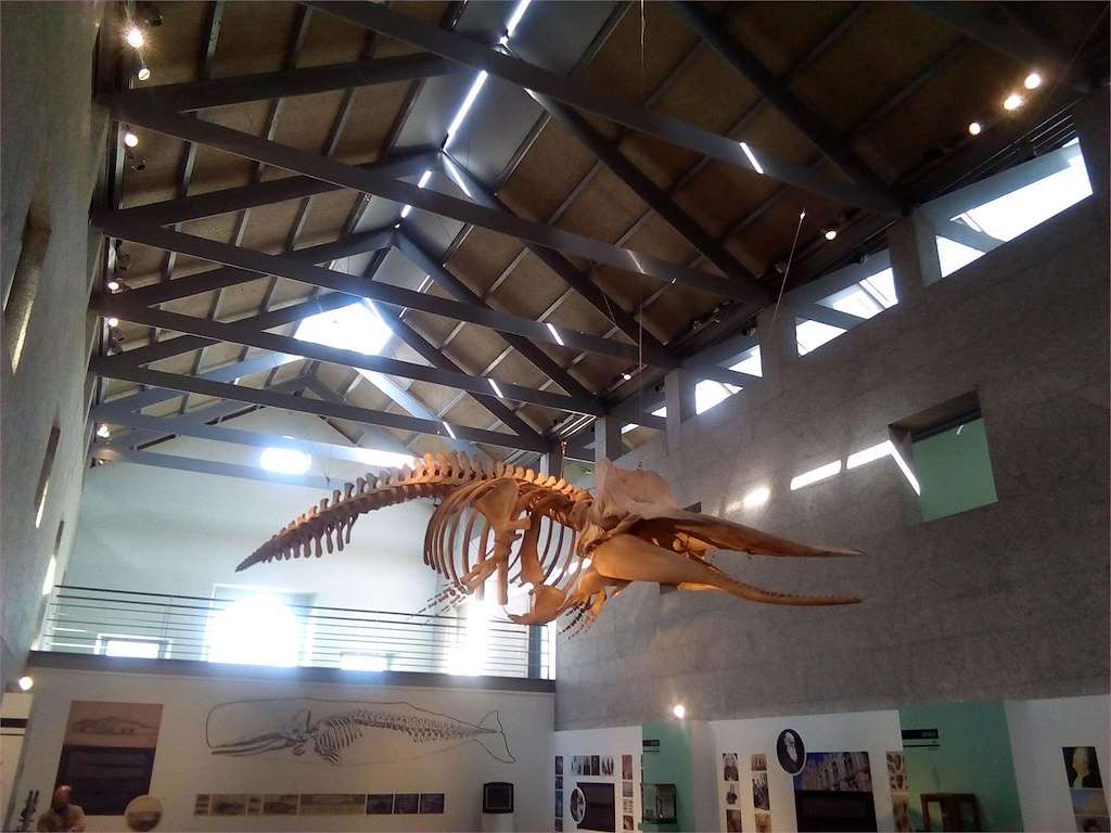 Museo del Mar de Galicia en Vigo