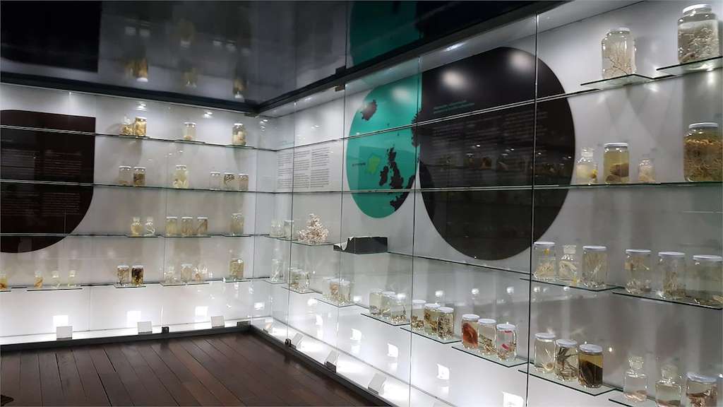 Museo del Mar de Galicia en Vigo