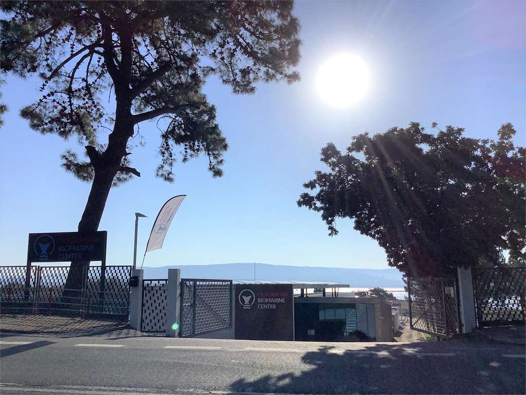 Museo Pescanova Biomarine Center en O Grove