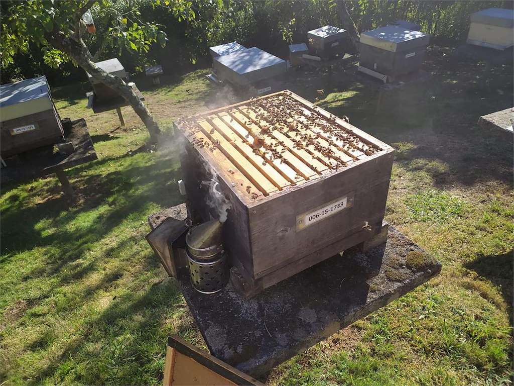 Museo Vivente do Mel en Arzúa