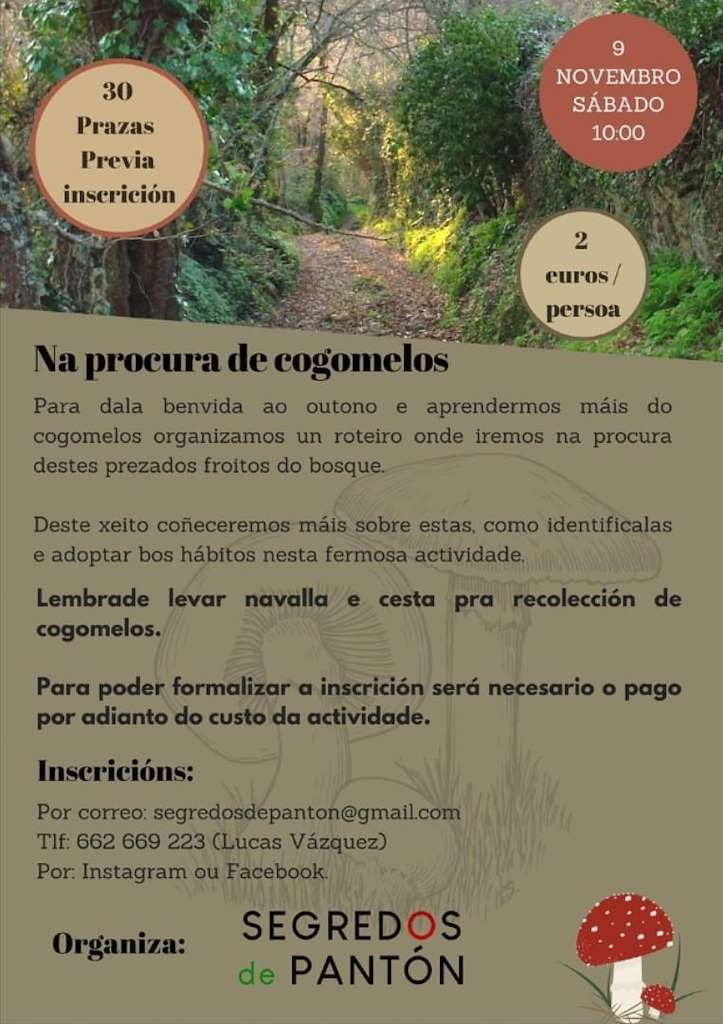 Na Procura de Cogomelos  en Pantón