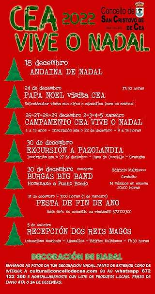 Programa de Navidad – Recepción de Reyes (2025-2026) en San Cristovo de Cea
