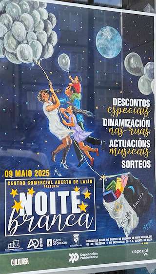 Fechas, información, programa, cartel, imágenes, mapa y ubicación de Noite Branca  en  Lalín