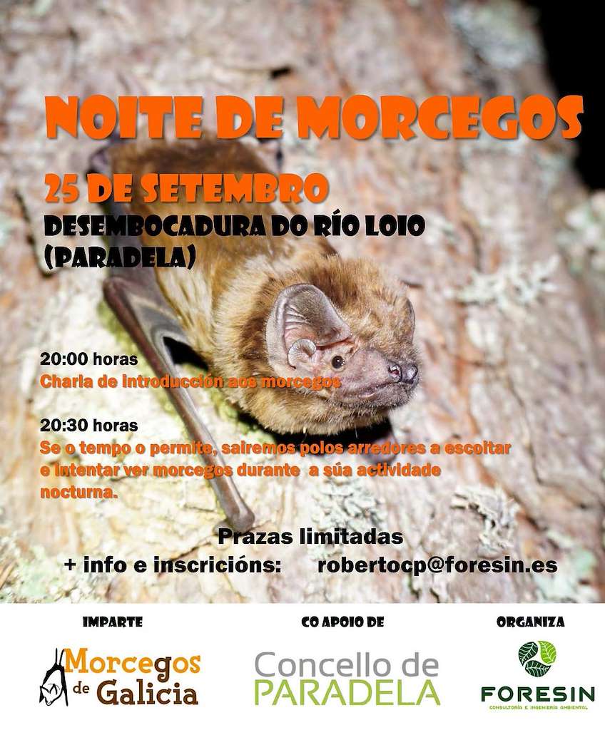 Noite de Morecegos (2026) en Paradela