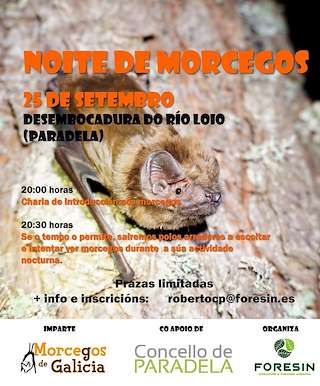Fechas, información, programa, cartel, imágenes, mapa y ubicación de Noite de Morecegos (2026) en Paradela