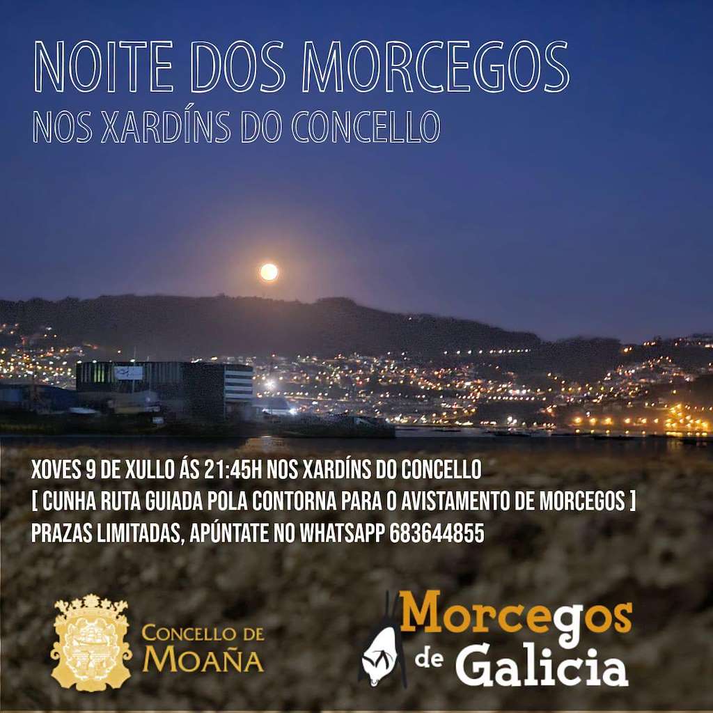 Noite dos Morcegos (2026) en Moaña