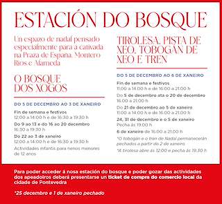 Fechas, información, programa, cartel, imágenes, mapa y ubicación de O Bosque dos Xogos - Pista de Hielo  en  Pontevedra