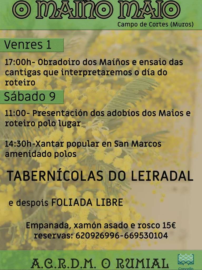 O Maíño Maio  (2026) en Muros