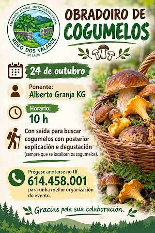 Fechas, información, programa, cartel, imágenes, mapa y ubicación de Obradoiro de Cogumelos de Rego dos Valados (2026)  en  Lalín