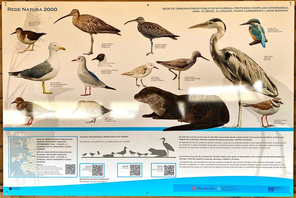 Observatorio de Aves Centro en O Grove