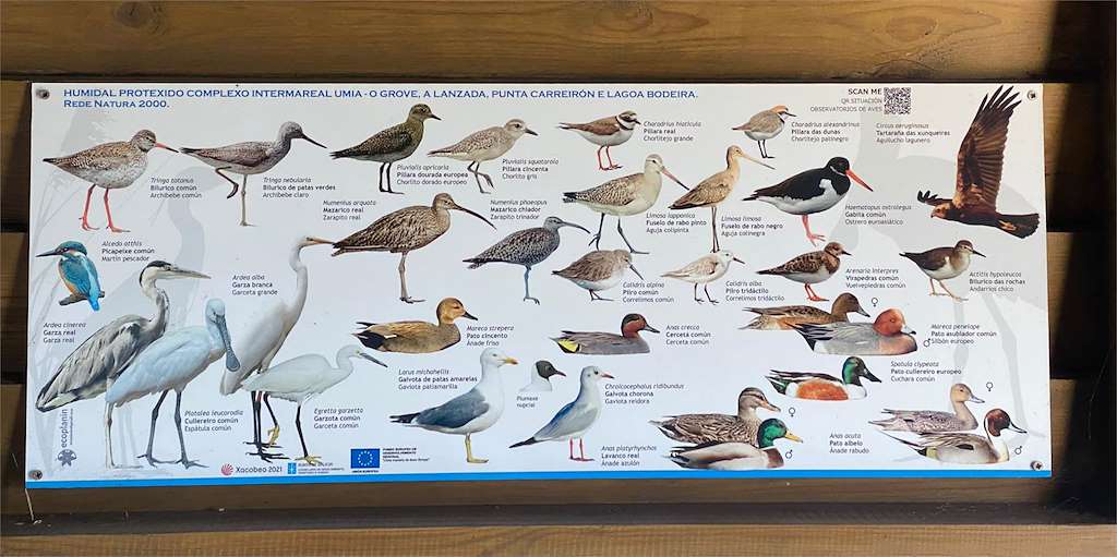 Observatorio de Aves Centro en O Grove