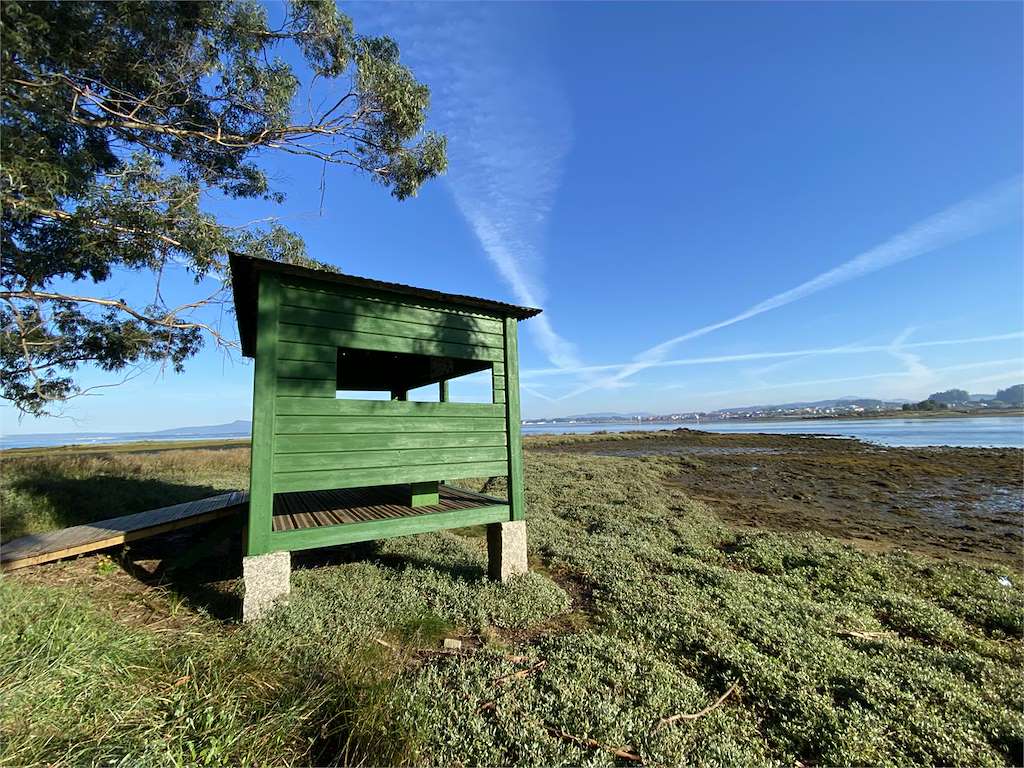 Observatorio de Aves de Castrelo 2 en Cambados
